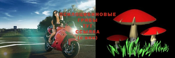 трава Арсеньев