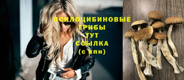 трава Арсеньев